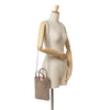Secondhand Goyard Goyardine Poitiers Claire Voie
