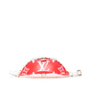Louis Vuitton Monogram Giant Bumbag Secondhand