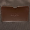 Louis Vuitton Damier Ebene Pegase Legere Business 55 Secondhand
