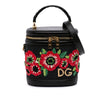 Dolce & Gabbana Floral Embroidered Raffia and Lizard Embossed Calfskin DG Girls Vanity Bag Secondhand