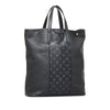 Louis Vuitton Taigarama Outdoor Tote Secondhand