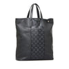 Louis Vuitton Taigarama Outdoor Tote Secondhand