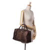 LOEWE Leather Amazona 36 Secondhand
