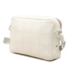 Dior Daniel Arsham Grained Calfskin Safari Messenger Bag Secondhand