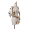 Secondhand Dior Oblique Embroidered Canvas Saddle Bag