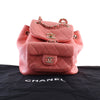 Chanel Small Lambskin Duma Backpack Secondhand