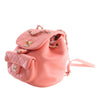 Chanel Small Lambskin Duma Backpack Secondhand