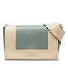 Celine Medium Shiny Smooth Calfskin Frame Shoulder Bag Secondhand