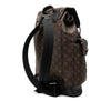 Louis Vuitton Monogram Macassar Christopher Backpack MM Secondhand