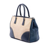 Prada Medium Canvas and City Calf Stitch Galleria Double Zip Satchel Secondhand