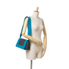 Secondhand Celine Leather Frame Shoulder Bag