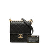 Secondhand Chanel Small Lambskin Chic Pearls Flap