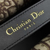 Secondhand Dior Large Canvas Eiffel Tower Toujours Tote