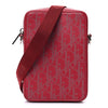 Dior Galaxy World Tour Messenger Pouch Secondhand