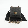 Secondhand Chanel Trendy CC Clutch with Chain Quilted