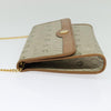 Christian Dior Vintage Honeycomb chain Canvas