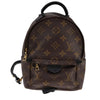 Louis Vuitton Palm Springs Backpack Monogram Canvas