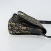 Secondhand Christian Dior Vintage Trotter Shoulder Bag