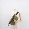 Secondhand Gucci GG Supreme Belt Bag GG Coated Canvas and