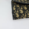 Christian Dior Vintage Trotter Flap Shoulder Bag Diorissimo Canvas