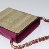 Secondhand Chanel Chain Cigarette Case Pony Hair and
