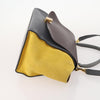 Celine Tricolor Trapeze Leather