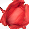 Loewe Amazona Leather