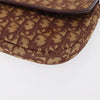 Christian Dior Vintage CD trotter Canvas