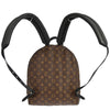 Louis Vuitton Palm Springs Monogram Canvas
