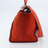 Celine Trapeze Leather with Suede