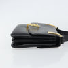 Celine Horse Carriage Leather