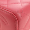 Chanel Classic Vanity Case with Chain Quilted Lambskin