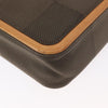 Louis Vuitton Terre Messenger Damier Geant Canvas