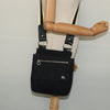 Burberry Blue Label Canvas