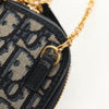Christian Dior 30 Montaigne Phone Holder on Chain Oblique Canvas