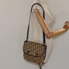 Christian Dior Vintage Trotter Canvas
