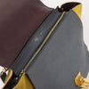 Celine Tricolor Trapeze Leather