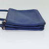 Celine Trio Leather