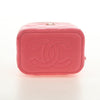 Chanel Classic Vanity Case with Chain Quilted Lambskin