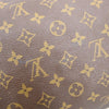 Louis Vuitton Speedy Monogram Canvas