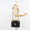 Celine Horse Carriage Leather