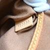 Louis Vuitton Alma Monogram Canvas