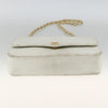 Chanel Matelasse Chain Leather