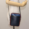 Louis Vuitton Danube Epi Leather