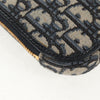 Christian Dior 30 Montaigne Phone Holder on Chain Oblique Canvas