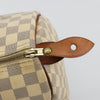 Louis Vuitton Speedy Damier