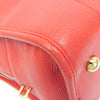 Loewe Amazona Leather