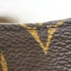 Louis Vuitton Florentine Waist Monogram Canvas