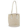 Louis Vuitton Petit Bucket Mini Lin