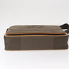 Louis Vuitton Terre Messenger Damier Geant Canvas